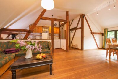 Heller Wohnbereich mit Blick in den Garten